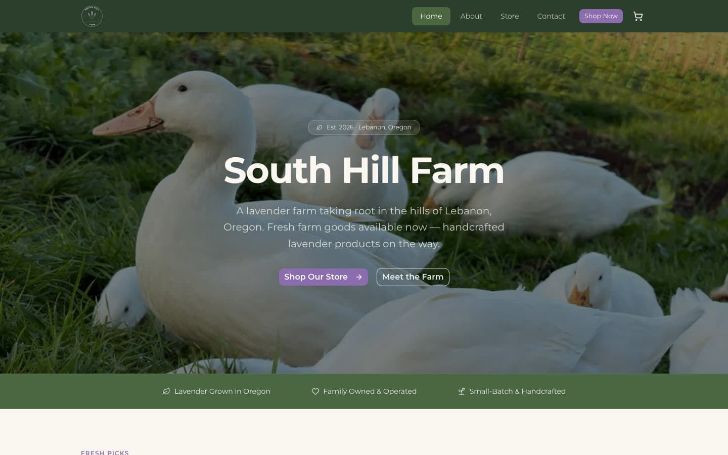 South Hill Farm home page on a laptop screen